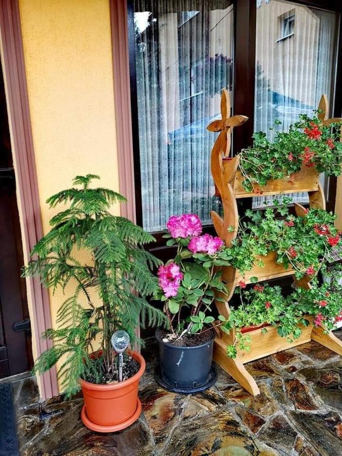 Pensiunea Gianina Arieşeni Εξωτερικό φωτογραφία