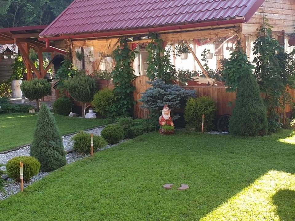 Pensiunea Gianina Arieşeni Εξωτερικό φωτογραφία